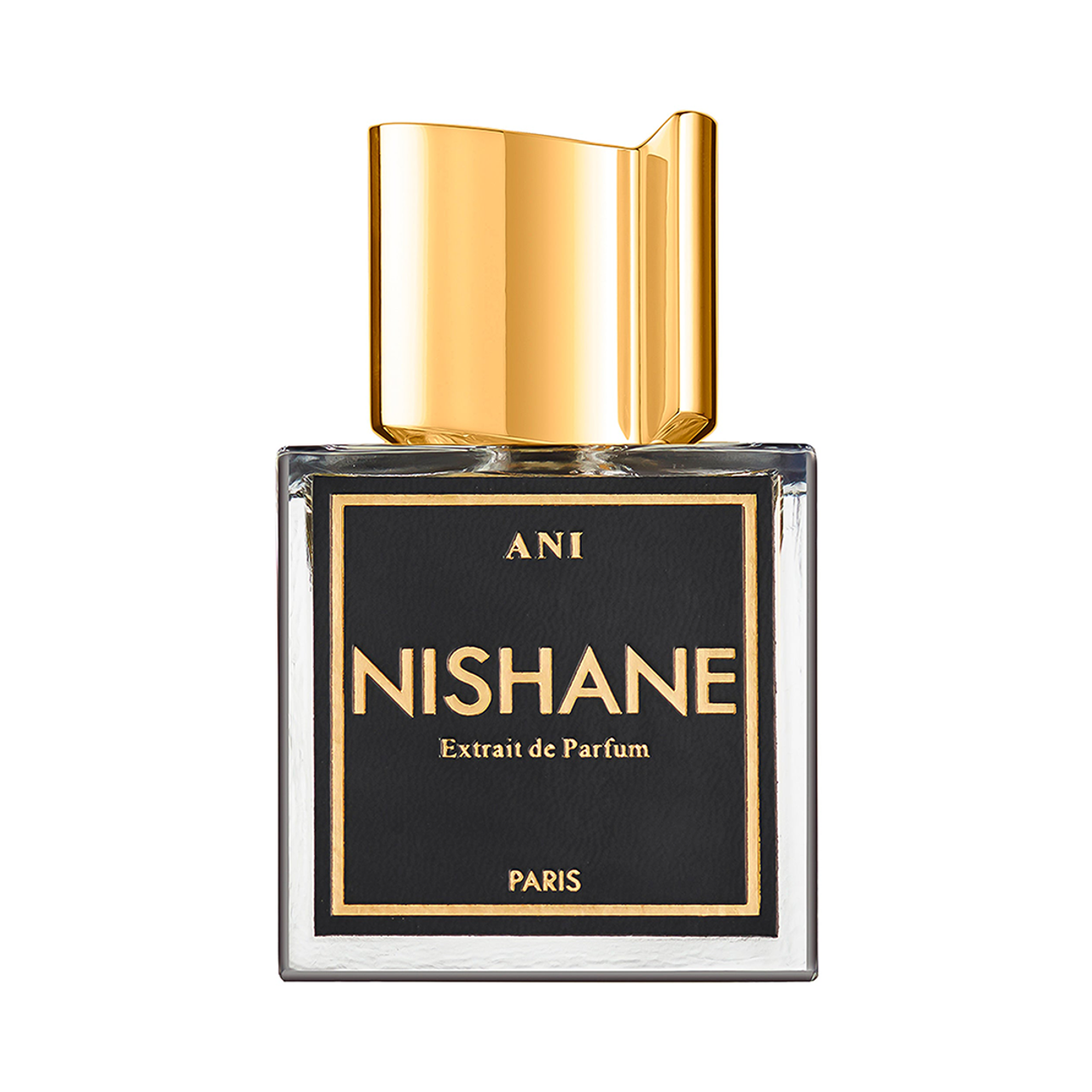 Ani Nishane